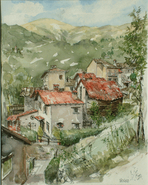 a Widmer: Bogno  30x40 cm