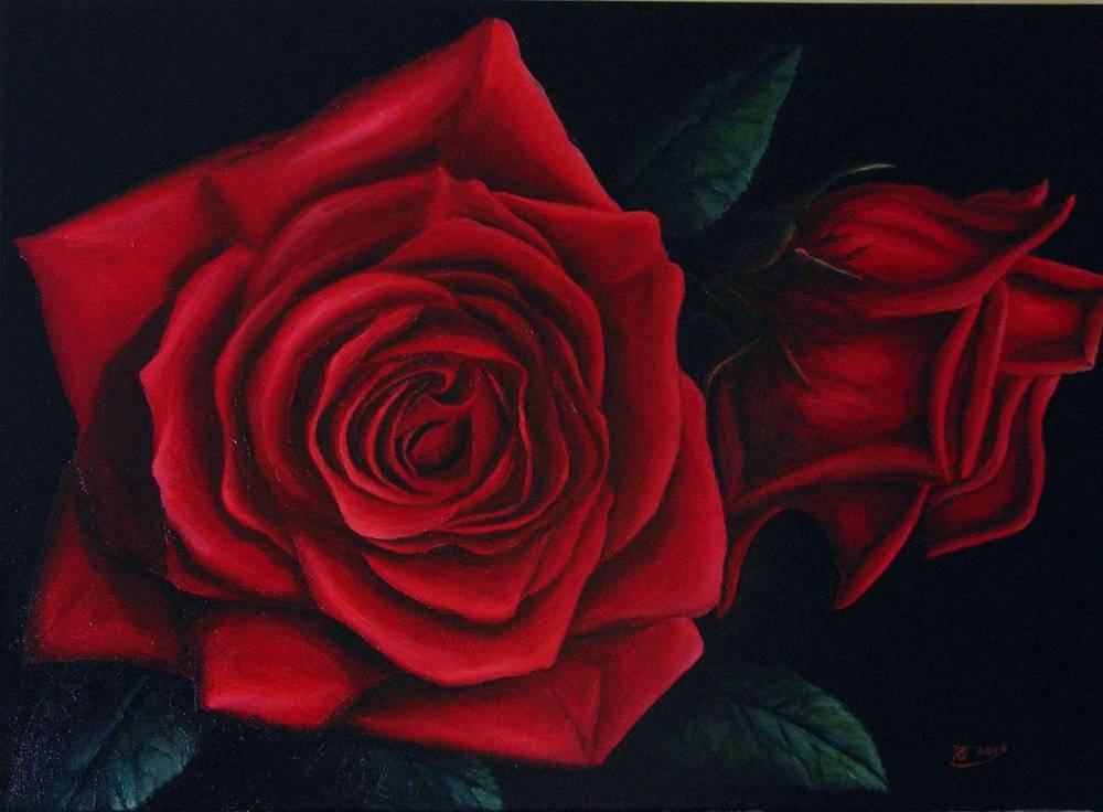 a myschliwzyk:  Rose in rot - die Zweite  2006 - l auf Leinwand, 70x50