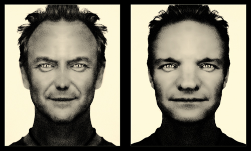 Gerhard Scholz: Sting Twins,Digitale Datei, Size 30 x 50 cm, 300 dpi