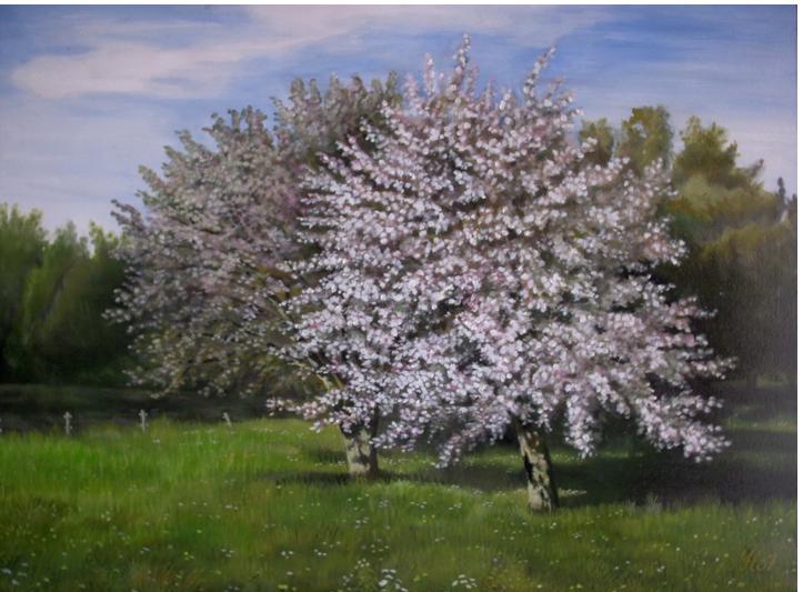 Günther Hofmann: Blühende ApfelbäumeÖl auf Hartfasermalplatte 