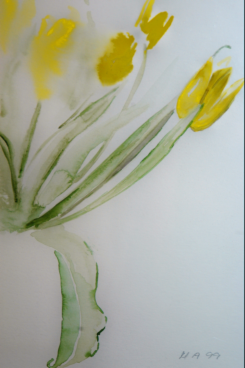 Maria-Anna Ziehr: TulpenAquarell