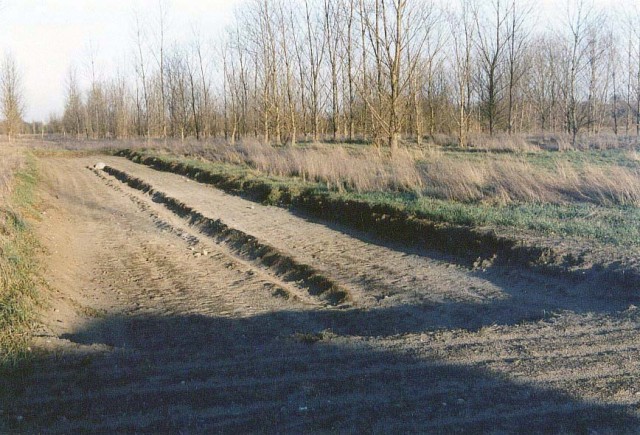 Steine_ohne_Grenzen /_Kaltenbach_Fohrer: Susan  Specht - Deutschland - Grenze Steinland - Landart