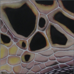 Ursula Zons: Meerfarben 2009, Acryl auf Leinwand, 30 x 30 cm