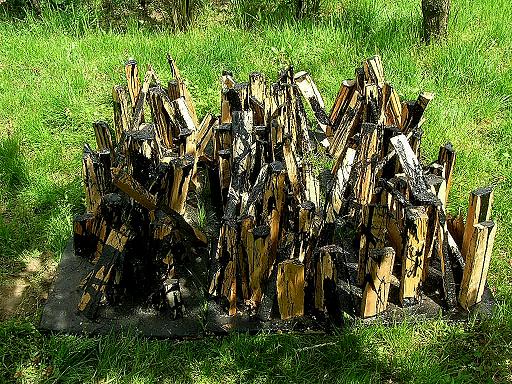 JÁNOS_ NÁDASDY: Rodung ,    2000   , Bodenobjekt  ,   Holz/Bitumen ,    150 x 150 x 40 cm