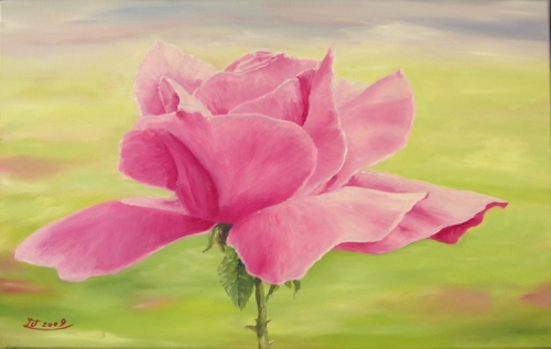 a myschliwzyk:  Rosa 2009 - l auf Leinwand, 60x40cm