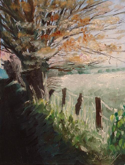 DIANA MARSHALL: Frosty Morning20.3 x 25.4cms oil on  panel This scene I encountered on an early morning walk in Mountmellick, Ireland.