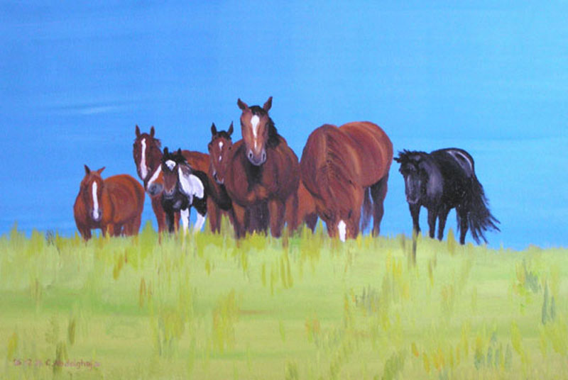 Claudia Lüthi_(alias_Abdelghafar): Pferdeherde ruhendOel auf Leinwand, 73 x 50 cm, 2005
