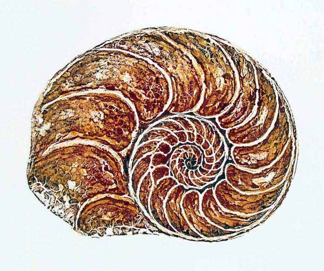 Kurt_Gerd Ries: AmmonitCarborundum-Radierung, 27 x 34 cm
