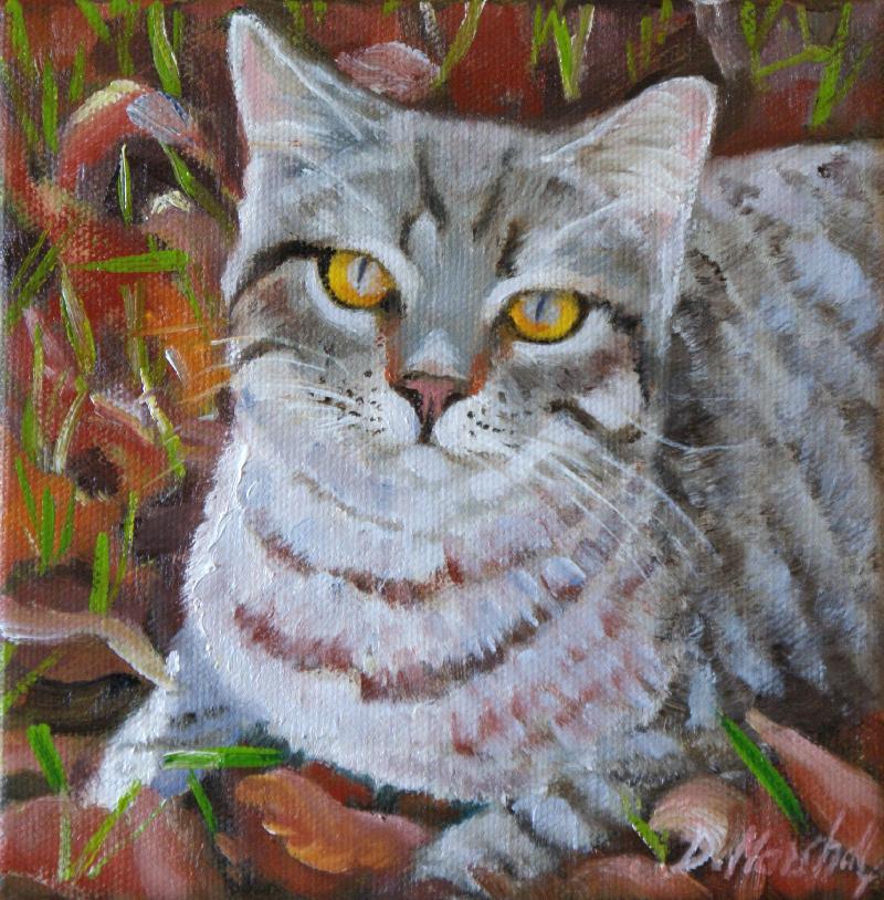 DIANA MARSHALL: October Kitten15 x 15 cms oil on canvas, l auf bespannte Keilramen