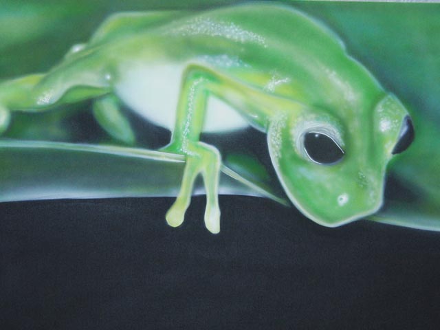 Andr Kluge: Glasfrosch auf Leinwand 60cm x 80 cm 