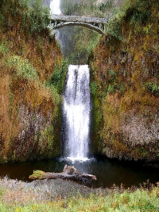 Gabriele Nedilka: WasserfallWasserfall in seiner Kraft und Strke. Fr mich sind Wasserflle Orte fr die Romantik und um auszuspannen.