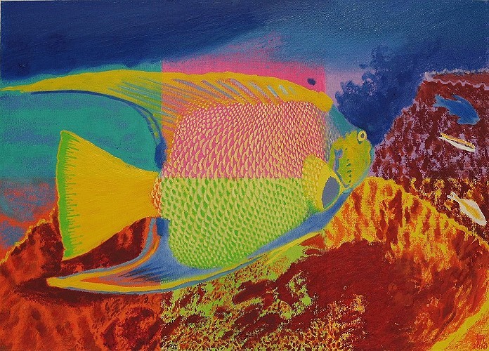 Fred Hahn: KaiserfischOil auf Holz, 2010, 50 x 70 cm