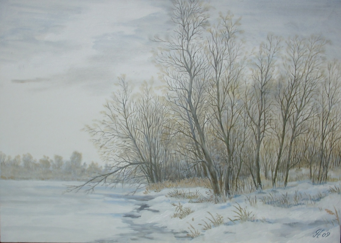 Günther Hofmann: Winter im AuwaldVerschneite Altrheinlandschaft bei Dettenheim (Ruheim)
