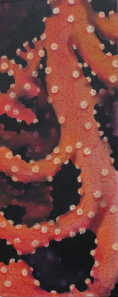 Ursula Zons: Meerfarben2010,  Acryl auf Leinwand,  50 x 20 cm