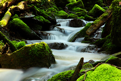 Conny Lechner: green riverFotografie auf Acryglas