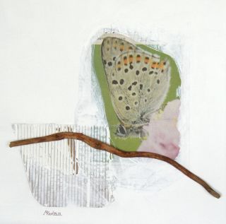 Martina Karl: Schmetterling, 50 x 50 cmAcryl, Naturmaterialien auf Leinwand