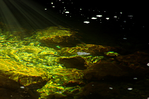 Conny Lechner: green waterFotografie auf Acryglas