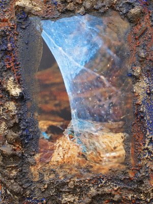 Uwe Rausch: Spinnweben     CobwebFoto-Assemblage  Foto, Walderde, Leim, Acryl 18 x 24 cm auf Keilrahmen