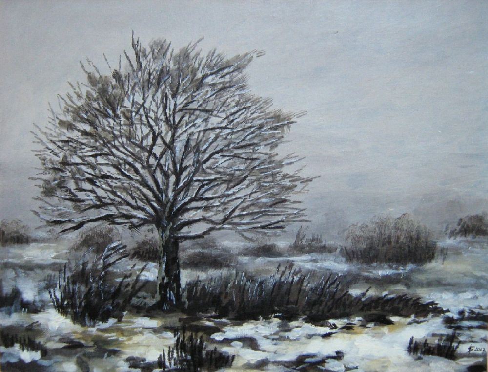 Kerstin Seifarth: Winter (2007)