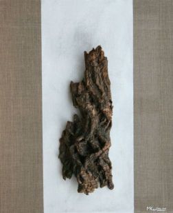 Martina Karl: Fundstueck2, 60 x 50 cmNaturmaterial auf Leinwand