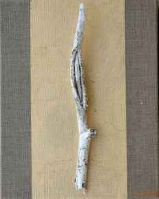 Martina Karl: Fundstueck, 30 x 24 cmNaturmaterial, Schlagmetall auf Leinwand