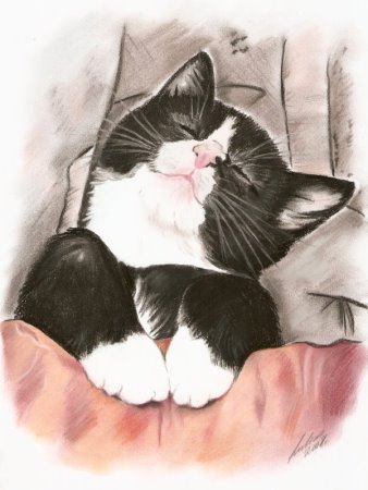 Gaby Lukas: Schlafende KatzeEine Pastellzeichnung in A 4