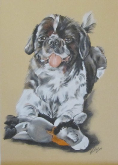 Gaby Lukas: Hund mit SpielzeugHundezeichnung auf farbigem Hintergrund in Pastell A 3