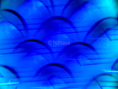 HD Nass: blue elementsphotomalerei, digital ohne manipulation am computer