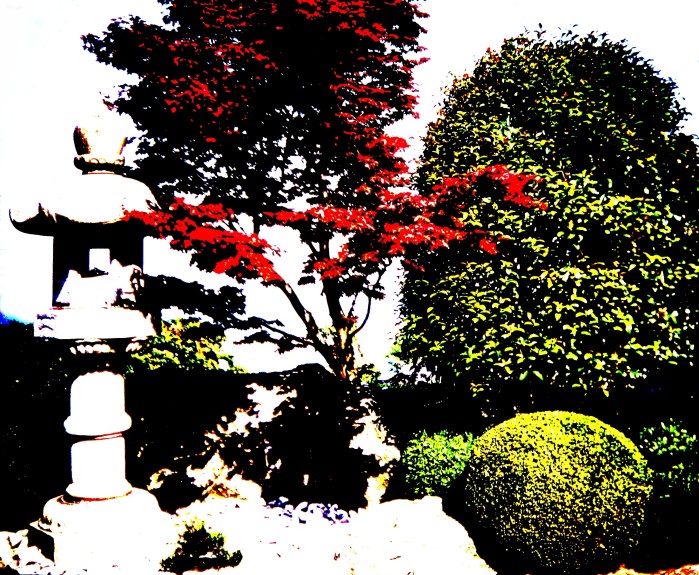  EDITA: Japanese reflections no. 2Posterisation, posterization photo-graphic EDITA 1989