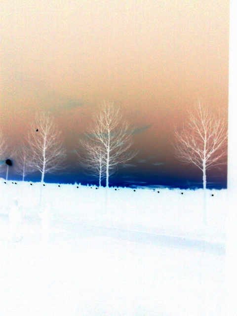 Marly Jedelhauser: Allee