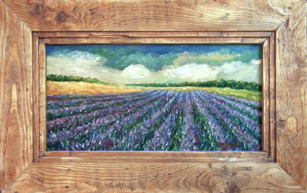 a myschliwzyk:  Lavendelfeld - l auf Sperrplatte, 48x25cm, Rahmen, 65x42cm