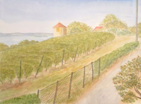 Udo Teuchert: Weinberg am BodenseeAquarell 48 x 36 cm