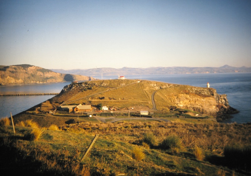 a Aabeck-Ackermann: Albatros Aufzuchtstation NeuseelandFotografie aus dem K?nstlerbuch Aotearoa. Mit Pinsel, Palette und Kamera durch Neuseeland. 22. Druck der Elke Rehder Presse