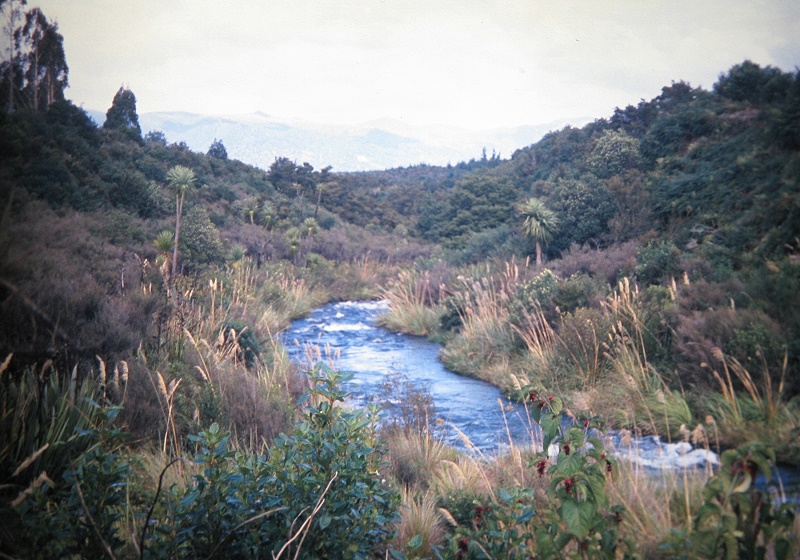 a Aabeck-Ackermann: Neuseeland - Tongariro RiverFotografie aus dem K?nstlerbuch Aotearoa. Mit Pinsel, Palette und Kamera durch Neuseeland. 22. Druck der Elke Rehder Presse, 2010. 100 nummerierte und signierte Exemplare.