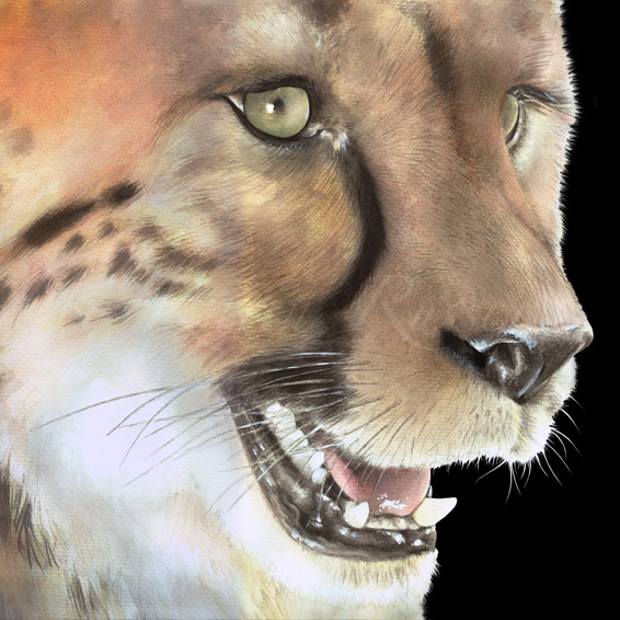 Karin Russer: CheetahAquarell