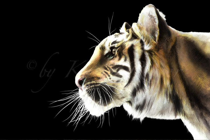 Karin Russer: TigerAquarell