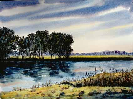 a Sterzenbach: Havellandschaft bei KetzinHavellandschaft bei Ketzin, Aquarell, 29,5x40,5 cm, 1996. Dies ist eine typische Landschaft in der N?he von Ketzin / Brandenburg mit der Havel im Vordergrund.