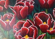 Heike Karbe: TulpenfeldOel auf Leinwand, 50x70 cm, 2010