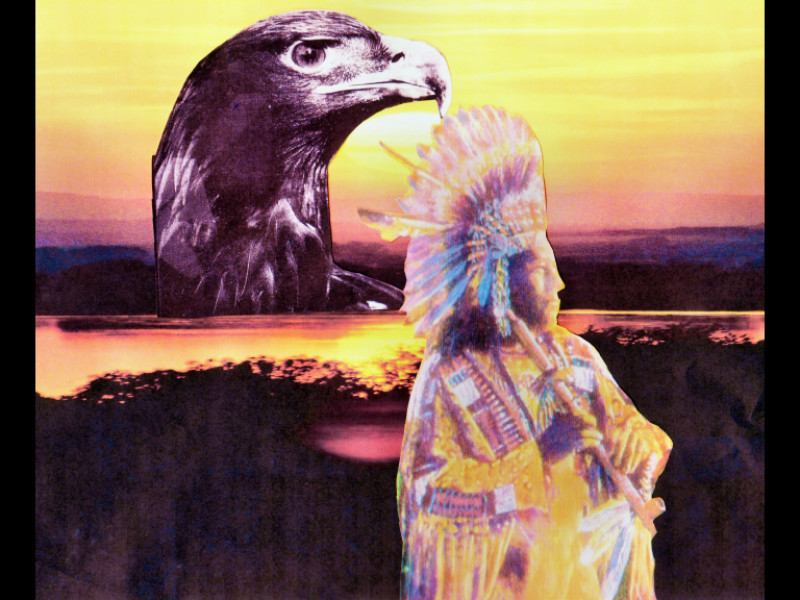 Erich Heeder: Der Adler mit dem IndianerDie Natur bring das zu sammen, was zu sammen geh?rt 