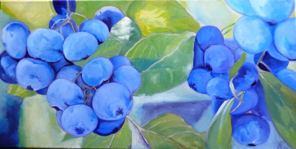 Anne Petschuch: Blaubeeren