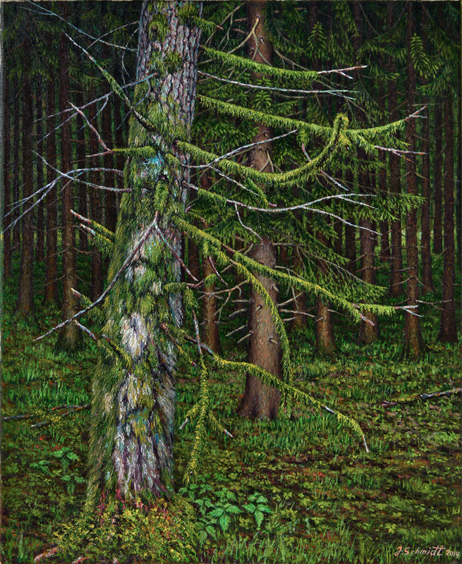 Juergen Schmidt: Vertrockneter Baum 2014, 50/60 cm, Oel, Leinwand