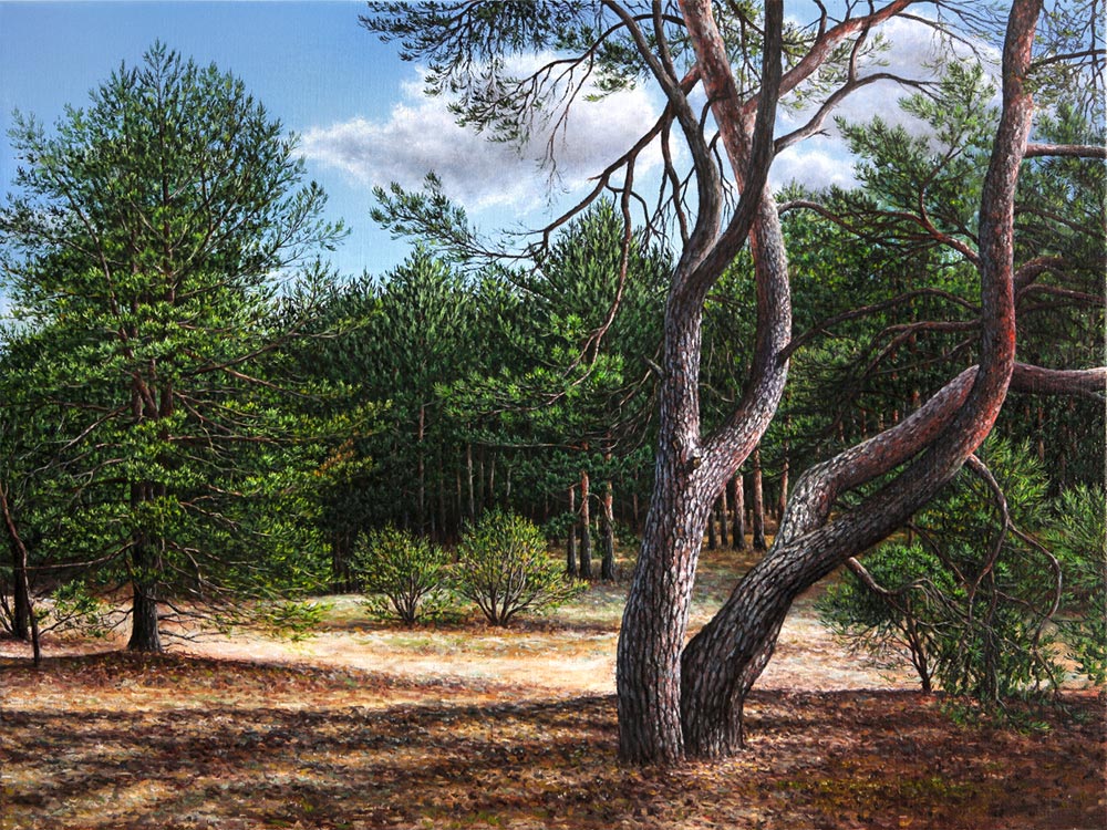 Juergen Schmidt: Kiefernadelwald2015, 60/80 cm, Oel, Leinwand, Unikat, signiert, datiert