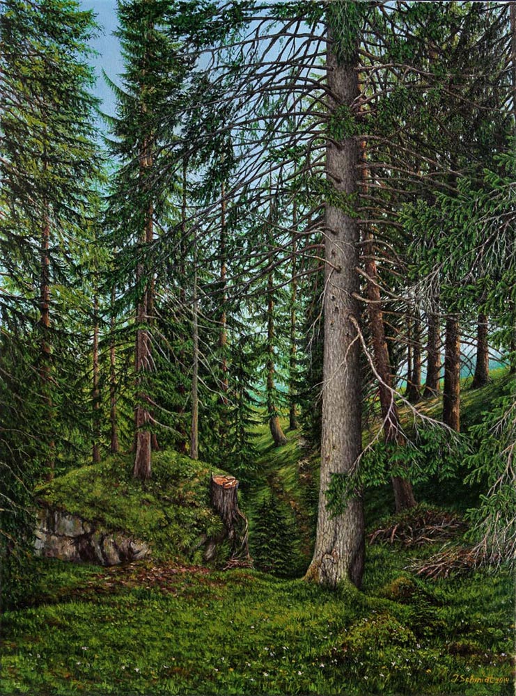 Juergen Schmidt: Nadelwald. Oesterreich 2014, 60/80 cm, Oel, Leinwand