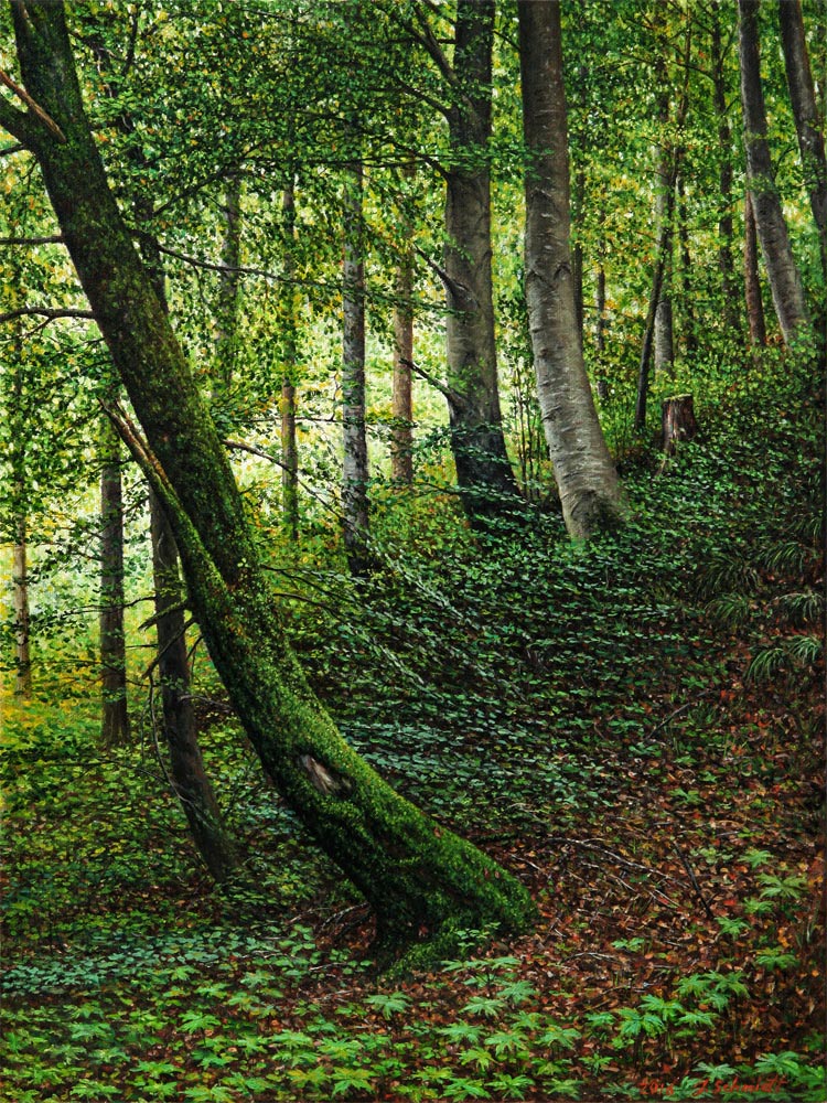 Juergen Schmidt: Laubwald in der Naehe von Schongau2016, Oel, Leinwand, 45/65 cm, Unikat, datiert, signiert