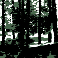 Hannelore_ Beckers: Waldstueck 2, Digitaldruck auf Tuch, 20 x 20 cm Keilrahmen, 4-teilig