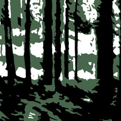 Hannelore_ Beckers: Waldstueck 3, Digitaldruck auf Tuch, 20 x 20 cm Keilrahmen, 4-teilig