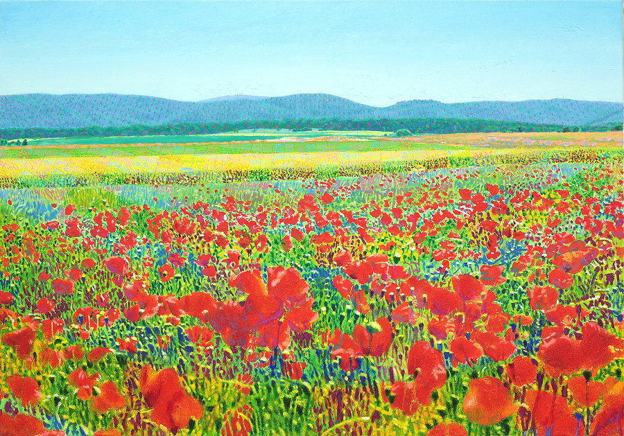 Fred Hahn: Mohn.Berge.FelderOil auf Baumwolle, 2010, 70 x 100 cm