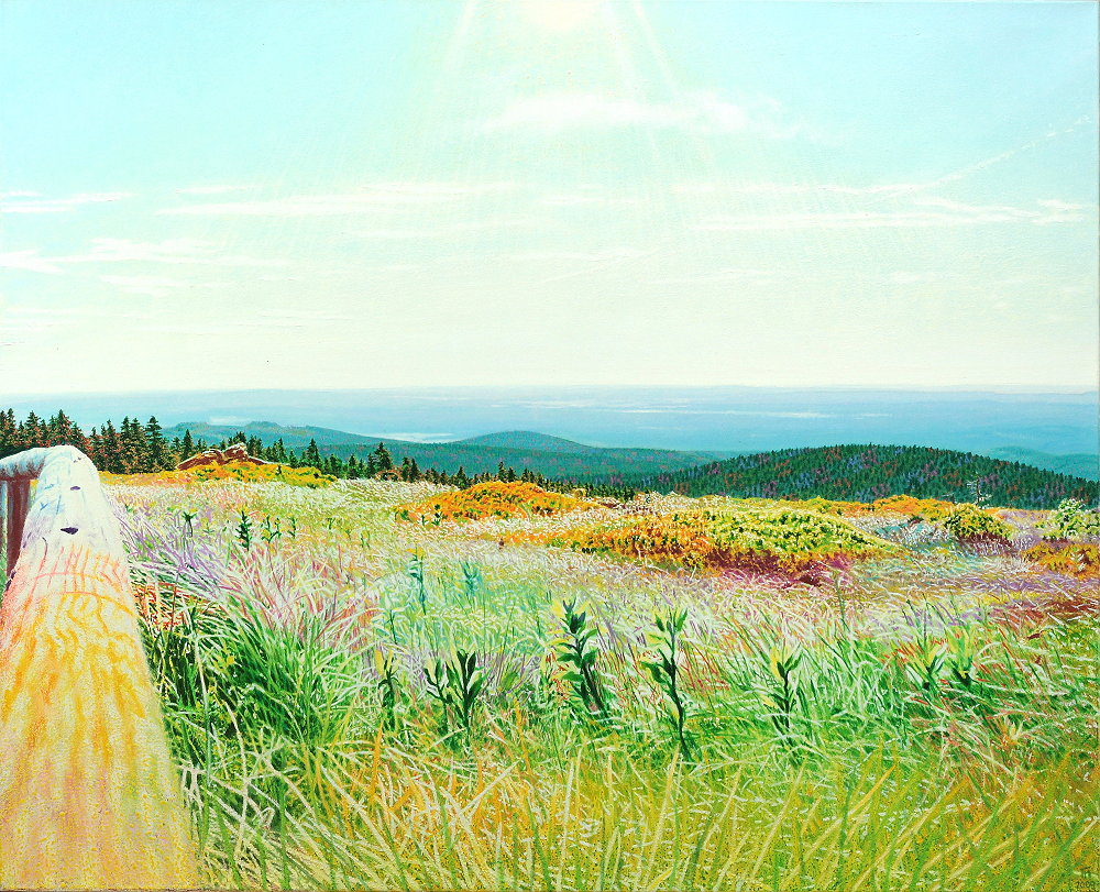 Fred Hahn: Fruehsommerheidenweite2Oil auf Baumwolle, 2010, 130 x 160 cm