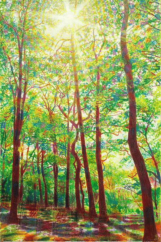 Fred Hahn: Sommerwaldoil auf verstaerkter Leinwand, 2002, 120 x 80 cm