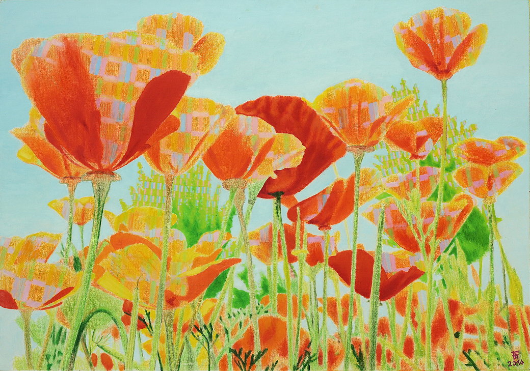 Fred Hahn: MohnblumenfeldOel auf Baumwolle, 2014, 70 x 100 cm